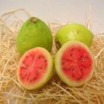 Food & Cake Design-Associazione Artisti Italiani