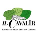 Polo della Tessitura