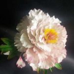 Cake Design