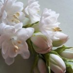 Atelier della Sposa