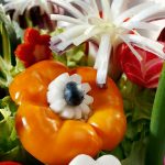 VisualFood