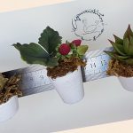 cake design